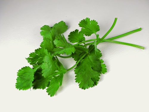 Tips dan Trik Menyimpan Daun Ketumbar dan Mint